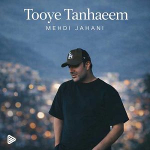 دانلود آهنگ توی تنهاییم مهدی جهانی